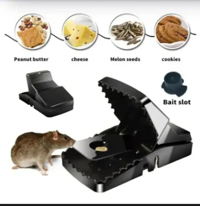 MOUSE TRAP